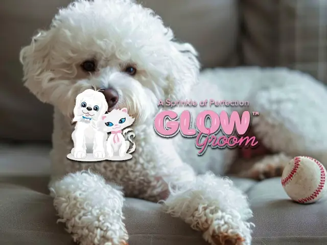 Glow Groom case study hero image - Meta Ads Turnaround - 78% ROAS Increase in 14 Days