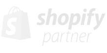 Shopify Partner