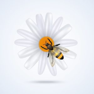 Social Media Marketing Sydney, Facebook Marketing Sydney