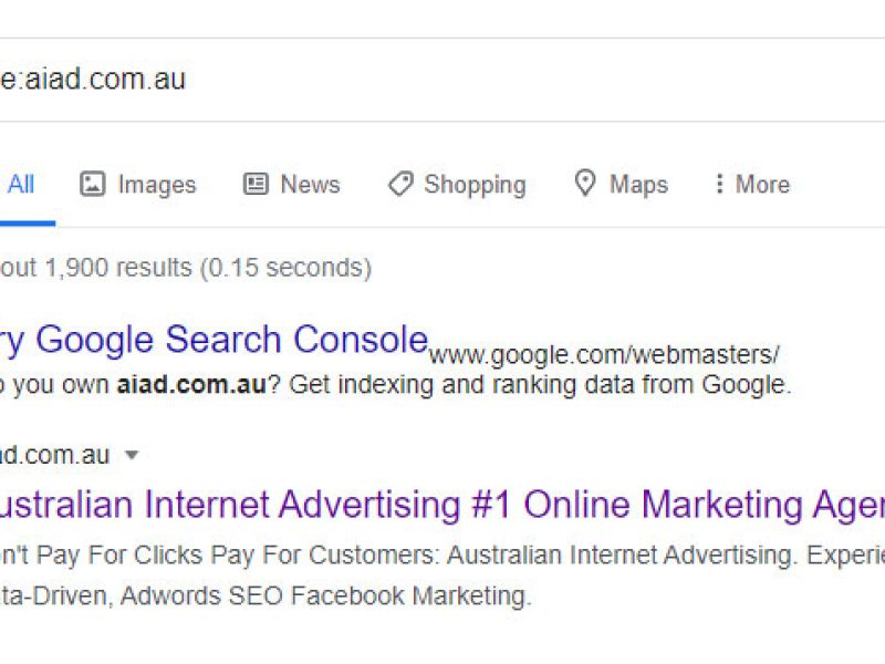 How-Does-Google-See-Your-Website-img
