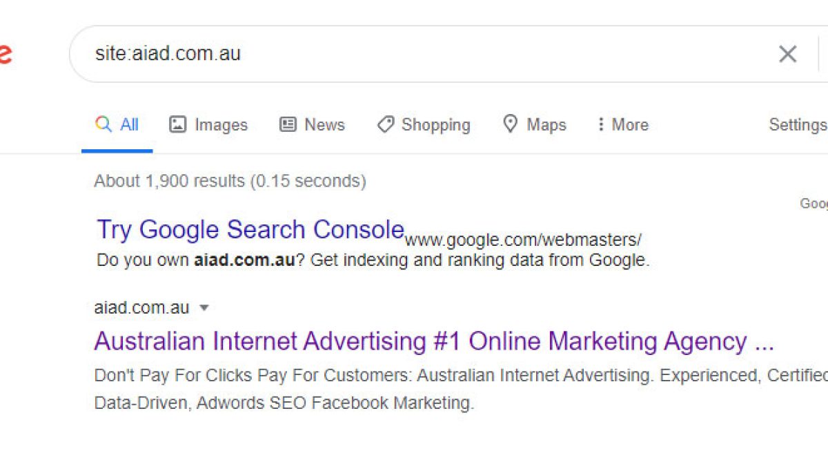 How-Does-Google-See-Your-Website-img